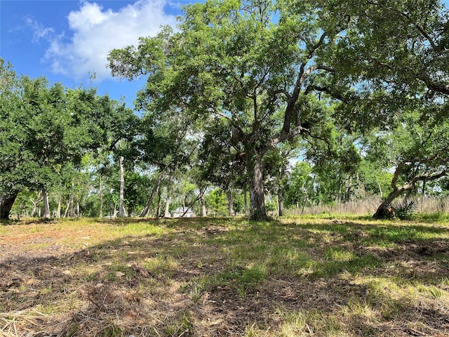32534 Bayou Bnd, Richwood, TX 77515