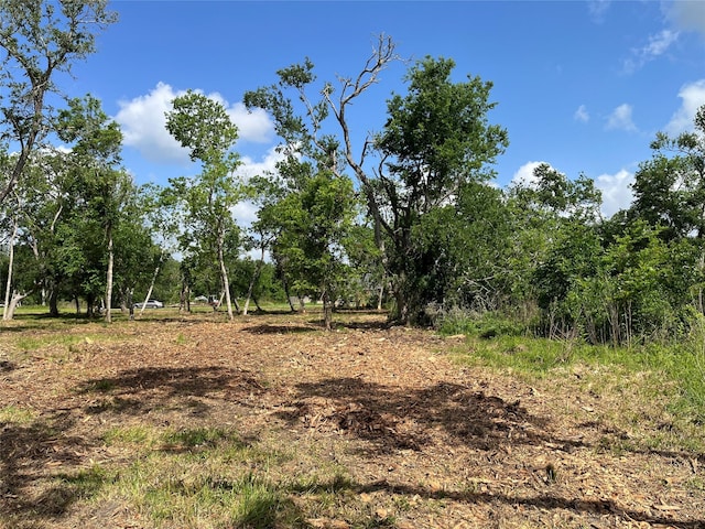 32534 Bayou Bnd, Richwood, TX 77515