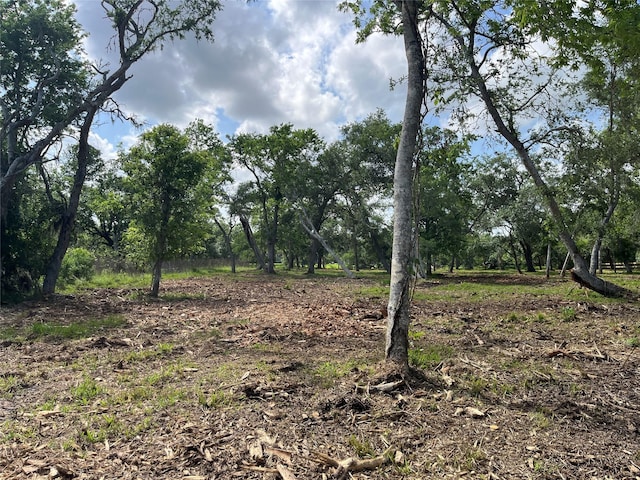 32534 Bayou Bnd, Richwood, TX 77515
