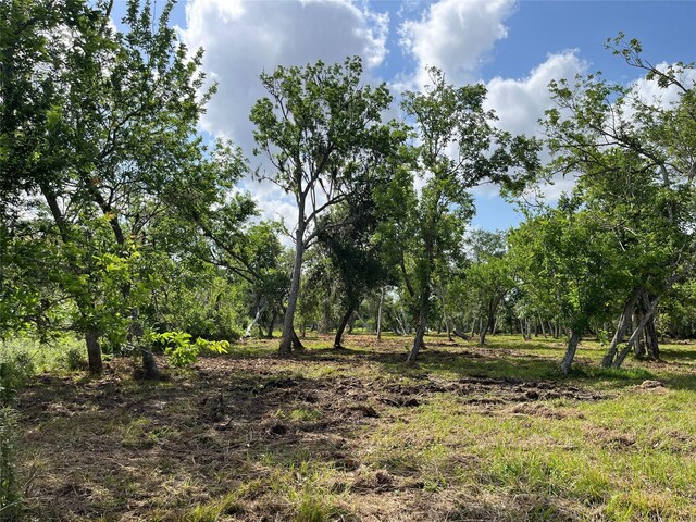 32534 Bayou Bnd, Richwood, TX 77515