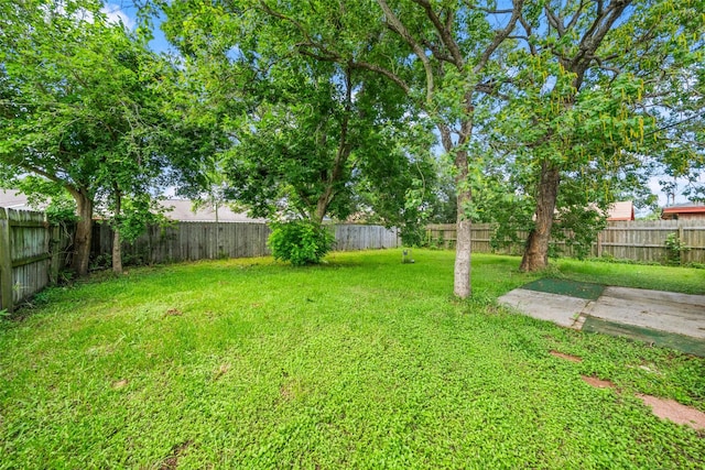2326 20th Ave N, Texas City, TX 77590 - view of yard