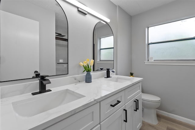 bathroom featuring a sink, double vanity, toilet, and wood finished floors
