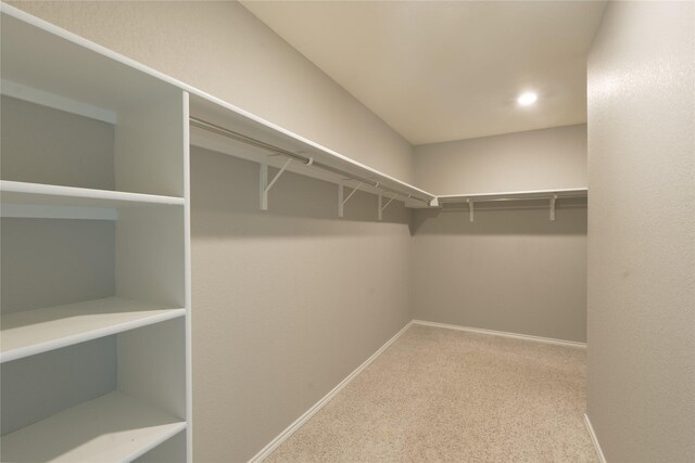 spacious closet with carpet flooring