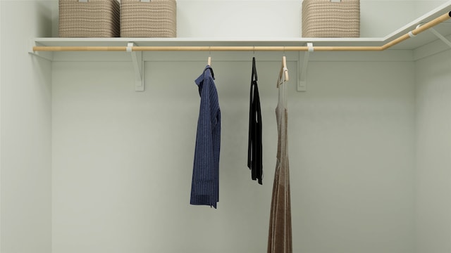 view of spacious closet