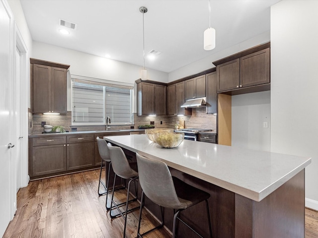 302 Eado Park Cir, Houston, TX 77020 - kitchen featuring light wood-style floors, stainless steel range, under cabinet range hood, and visible vents