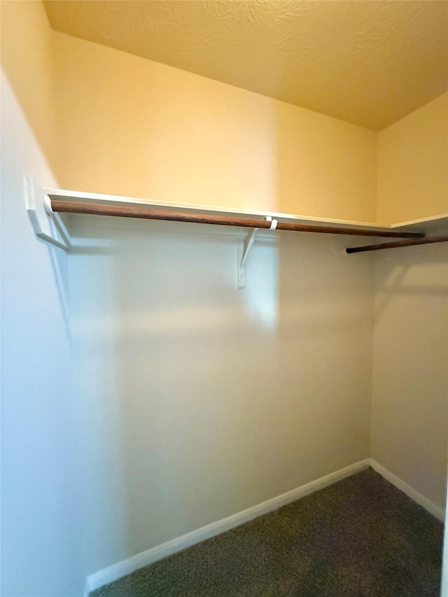 walk in closet with dark colored carpet