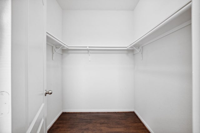 22507 Bellwick Ridge Ln, Katy, TX 77449 - walk in closet with dark wood-type flooring