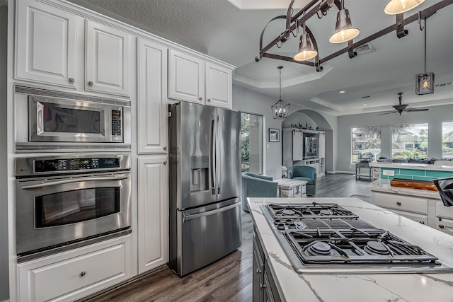 kitchen featuring white cabinets, a tray ceiling, light stone counters, dark wood finished floors, and stainless steel appliances