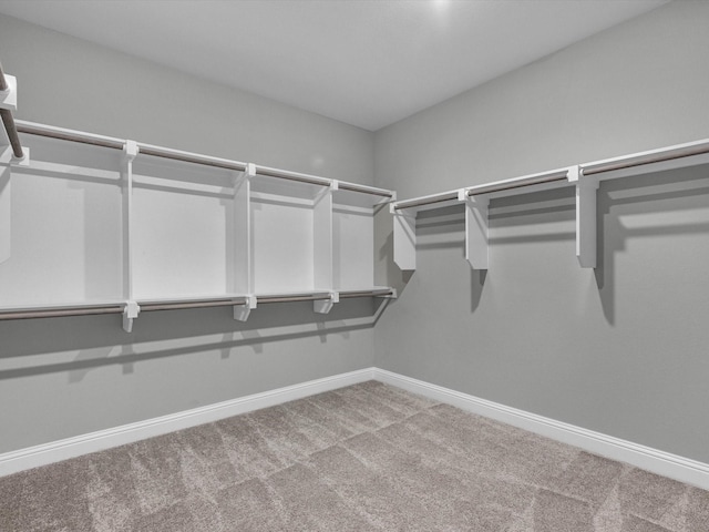 16926 Grayson Woods Ln, Humble, TX 77346 - walk in closet with carpet