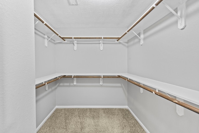 spacious closet with carpet