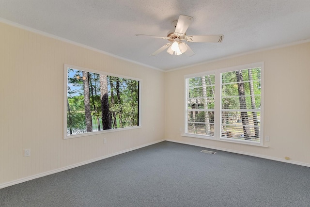 spare room featuring crown molding and plenty of natural light