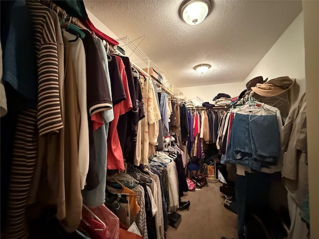 8813 Lauren Ln, Waller, TX 77484 - walk in closet with carpet