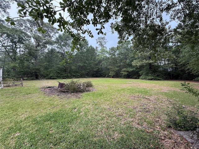 8813 Lauren Ln, Waller, TX 77484 - view of yard featuring a view of trees