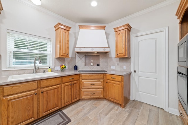 6820 Cemetary Rd, Manvel, TX 77578 - kitchen featuring a sink, custom exhaust hood, appliances with stainless steel finishes, tasteful backsplash, and ornamental molding