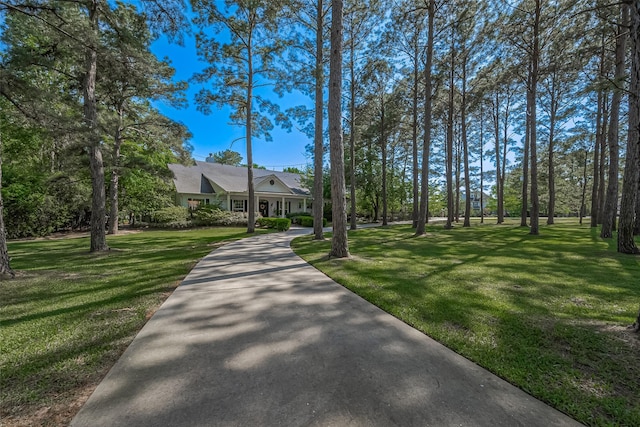 view of community featuring a lawn