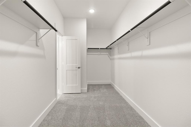 32307 Fly Fish Way, Fulshear, TX 77441 - walk in closet featuring carpet floors