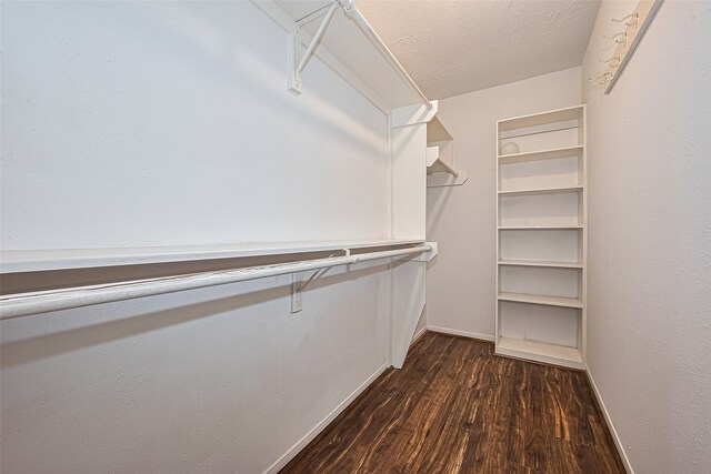 14811 El Miranda Dr, Houston, TX 77095 - spacious closet featuring dark wood finished floors