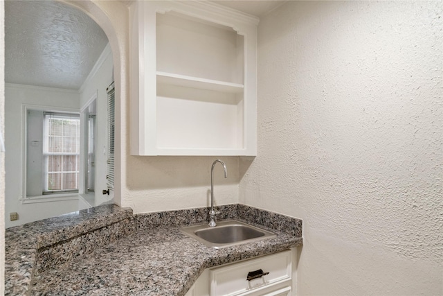 room details featuring a sink, crown molding, and a textured wall