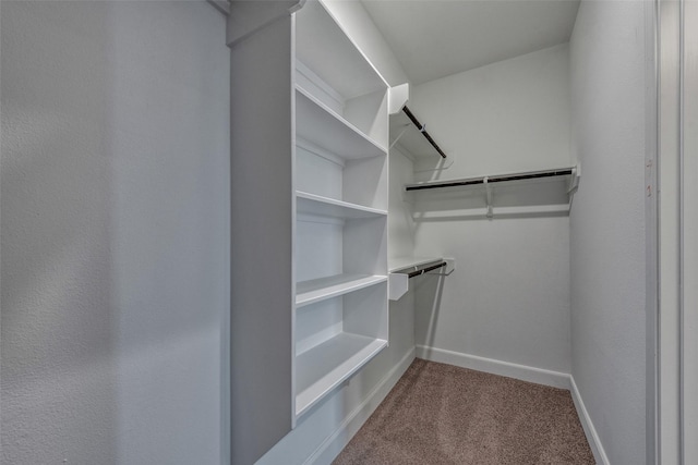 walk in closet with dark carpet