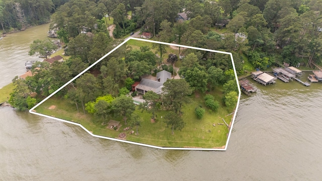 bird's eye view featuring a water view and a wooded view