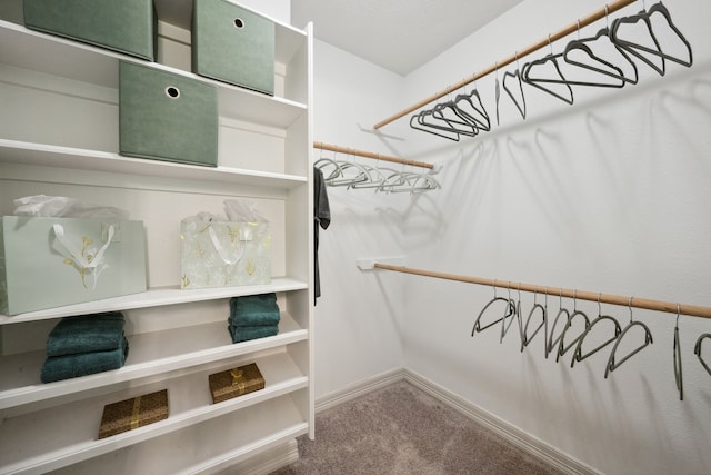 spacious closet featuring carpet floors