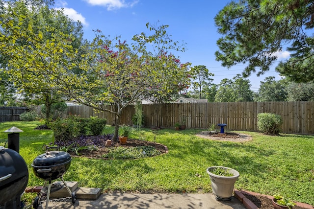 11203 Rocky Mill Dr, Cypress, TX 77429 - view of yard featuring a fenced backyard