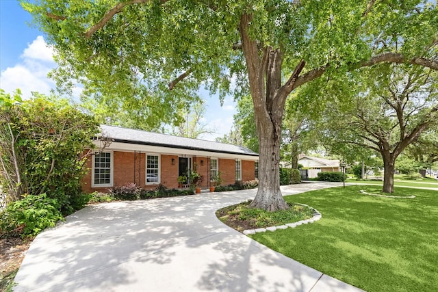 ranch-style home with brick siding, curved driveway, and a front lawn