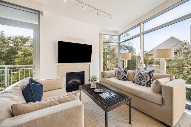 2207 Bancroft St Unit 301, Houston, TX 77027 - living area featuring rail lighting, a fireplace, and healthy amount of natural light