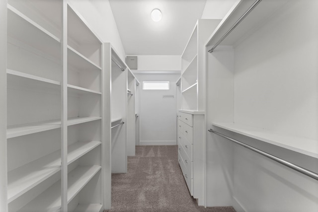 spacious closet with dark colored carpet