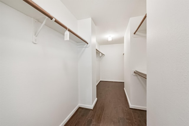 spacious closet featuring wood finished floors