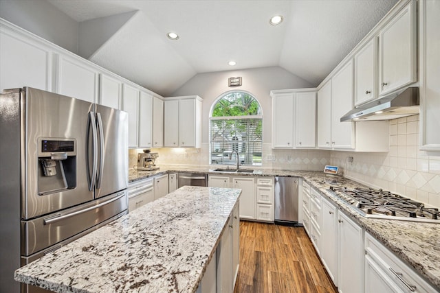 kitchen featuring lofted ceiling, appliances with stainless steel finishes, under cabinet range hood, a sink, and light wood-type flooring