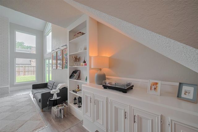 1709 Coles Farm Dr, Sugar Land, TX 77478 - living area featuring a textured ceiling, vaulted ceiling, light wood-style floors, and built in features