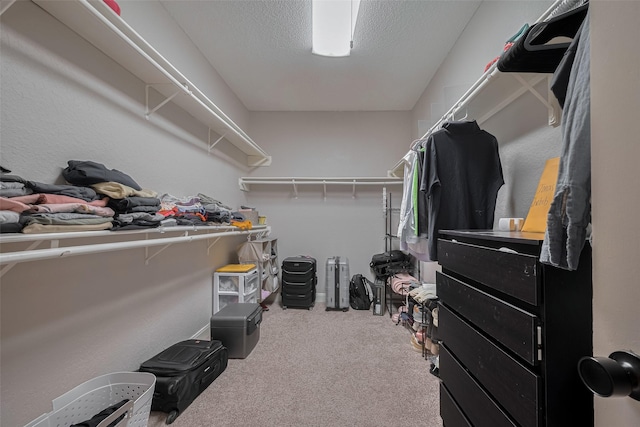 1709 Coles Farm Dr, Sugar Land, TX 77478 - walk in closet with carpet floors