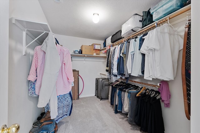 spacious closet with light colored carpet