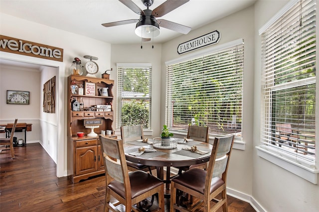 dining room featuring dark wood-style flooring, ceiling fan, and a wealth of natural light