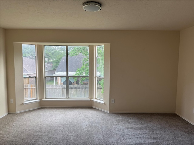 16319 Chimneystone Dr, Houston, TX 77095 - carpeted spare room featuring healthy amount of natural light and baseboards
