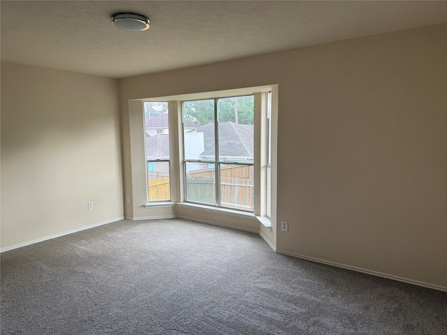 16319 Chimneystone Dr, Houston, TX 77095 - carpeted spare room with baseboards and a textured ceiling