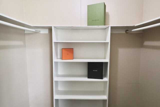 1217 E Brown Ln, Deer Park, TX 77536 - view of spacious closet
