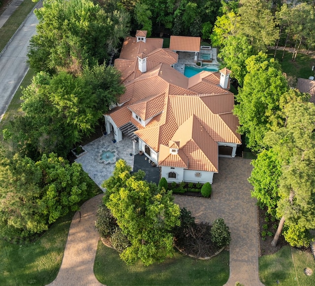 bird's eye view