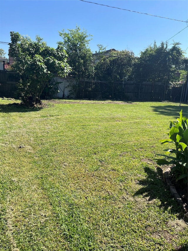 view of yard