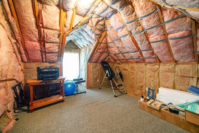 1302 Royal Sands Ln, Houston, TX 77345 - view of attic