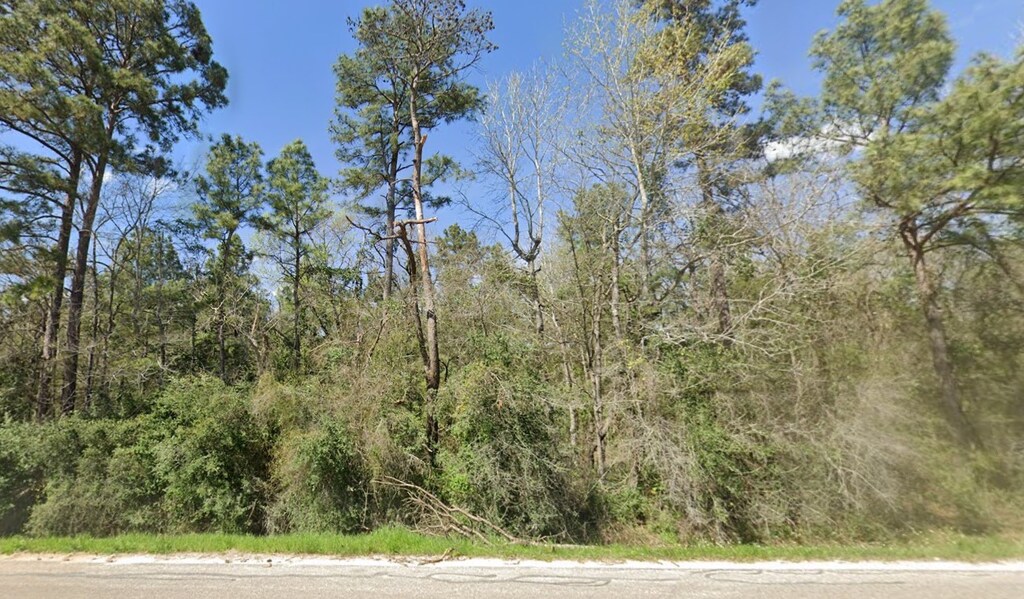 0 Phelps Dr, Huntsville, TX 77340 - photo 1