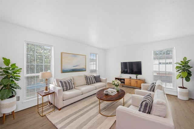 living room featuring plenty of natural light and light wood finished floors