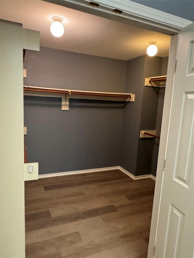 walk in closet featuring wood finished floors