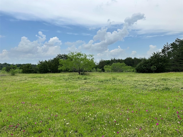 view of nature featuring a forest view and a rural view