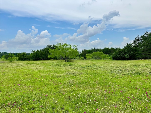 view of local wilderness featuring a rural view and a wooded view