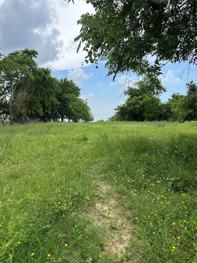 view of nature with a rural view