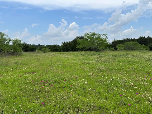view of local wilderness with a rural view