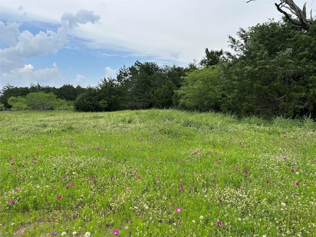 view of local wilderness featuring a view of trees