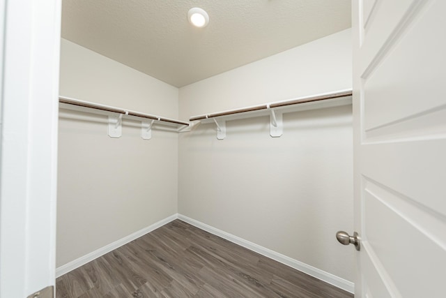spacious closet with dark wood-type flooring